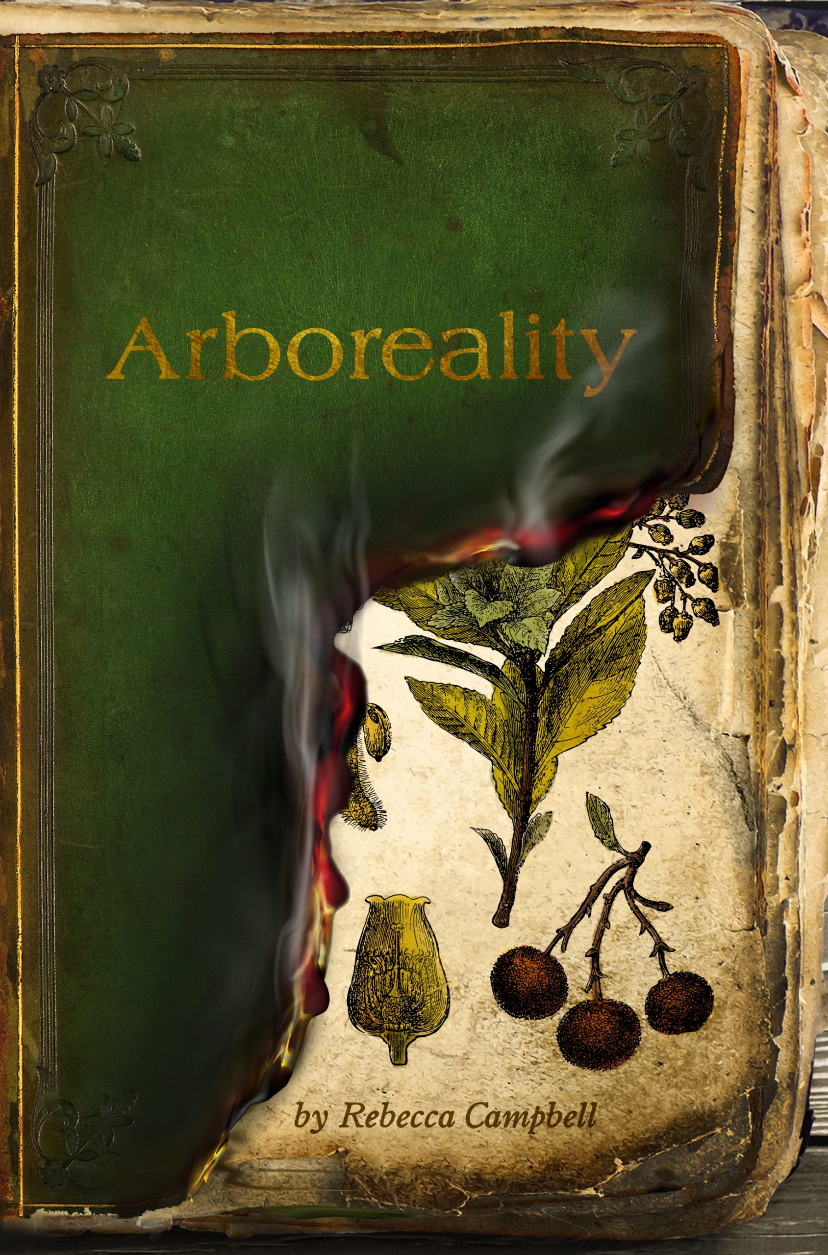 Cover of a book with the title Arboreality and text by Rebecca Campbell. The image shows a blindstamped binding burning away to review a botanical drawing.